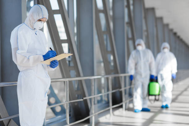 Best Mold Damage Restoration  in Indianola, MS