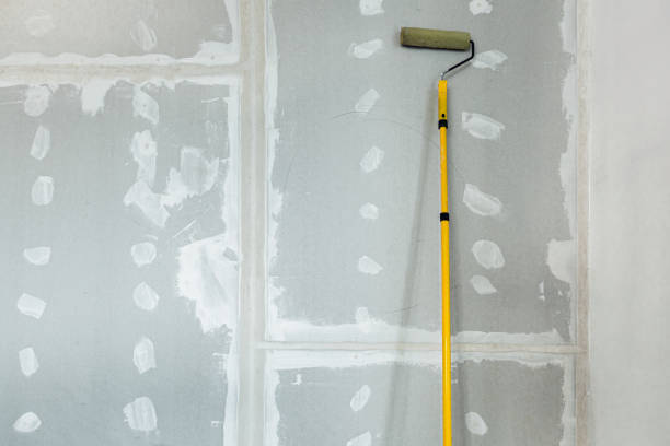 Best Water Damage & Mold Remediation  in Indianola, MS