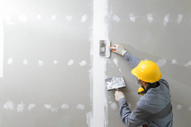 Best Mold-Related Health Consultation  in Indianola, MS