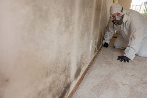 Best Real Estate Mold Inspection  in Indianola, MS