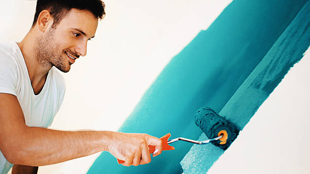 Best Black Mold Removal  in Indianola, MS
