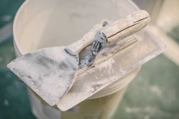 Best Mold Damage Restoration  in Indianola, MS
