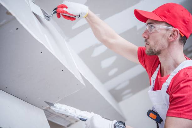 Best Asbestos and Lead Testing During Mold Inspection  in Indianola, MS