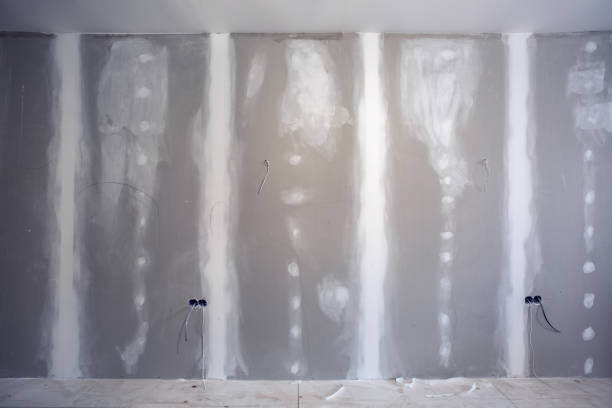 Best Post-Construction Mold Inspection  in Indianola, MS