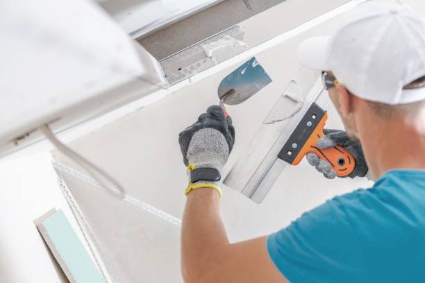 Best Industrial Mold Remediation  in Indianola, MS